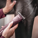 Buy Wahl KMC Supera Cordless Equine Clipper - Percys Pet Products