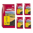 Versele-Laga Nigerseed Bird Seed 5 x 1kg - Percys Pet Products
