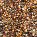 Bucktons High Protein Economy Pigeon Feed 20kg - Percys Pet Products