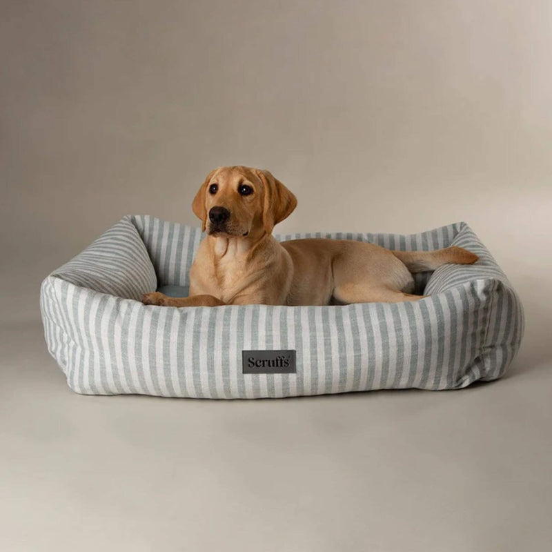 Buy Scruffs Coastal Box Dog Bed - Percys Pet Products