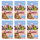 Buy Exotic Light Mix Parakeets & Parrots - Percys Pet Products