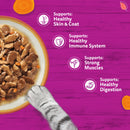 Whiskas Adult 1+ Tasty Mix Country Collection in Gravy Cat Food 85g x 48