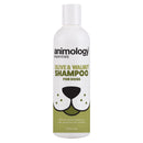 Animology Essentials Olive & Walnut Shampoo for Dogs 250ml x 5 |  Percys Pet Products