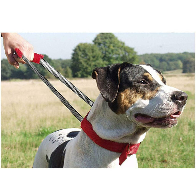 Patento Basic Dog Collar with Quick Grab Integrated Handle
