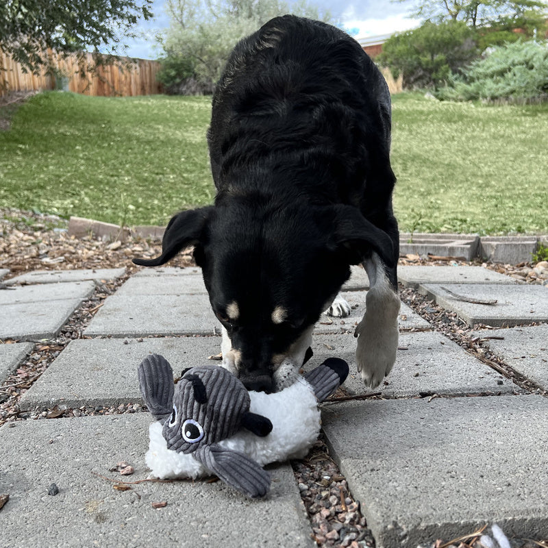 KONG Sherps Floofs Sheep Dog Toy - Percys Pet Products