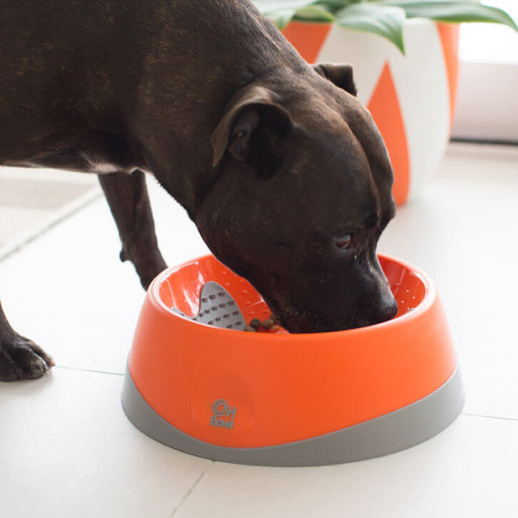 Buy Lickimat OH Dog Bowl for Dogs | Percys Pet Products