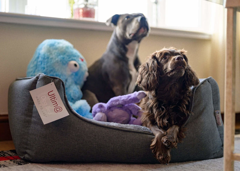 Gor Pets Ultima Premium Dog Bed - Percys Pet Products