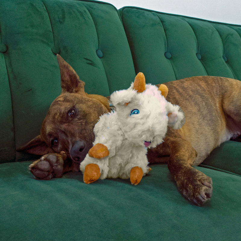 Buy KONG Comfort Tykes Goat - Percys Pet Products