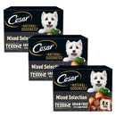 Cesar Natural Goodness Mixed Selection in Loaf Wet Dog Food 100g x 24