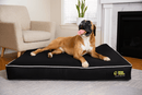 Dog Doza 5" Memory Foam Dog Mattress