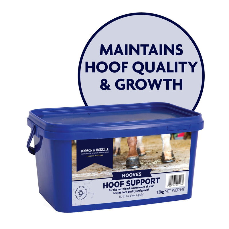 Buy Dodson & Horrell Hoof Support | Percys Pet Products
