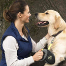 Flexi Giant Neon Retractable Tape Dog Lead - Percys Pet Products