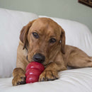 KONG Easy Treat Peanut Butter - Percys Pet Products