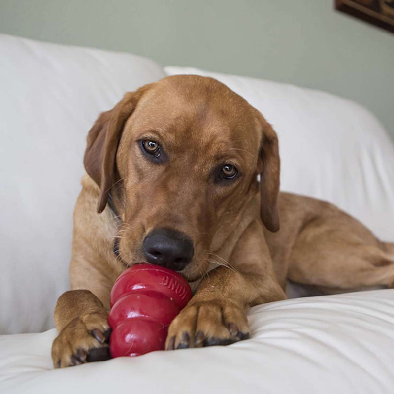 KONG Easy Treat Peanut Butter - Percys Pet Products