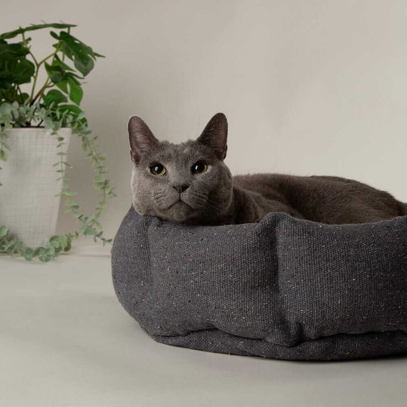 Buy Scruffs Eden Cat Bed - Percys Pet Products