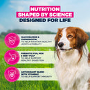 Buy Eukanuba Senior Small Medium Breed Lamb & Rice - Percys Pet Products