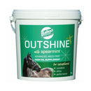 Baileys Outshine Spearmint - Percys Pet Products