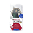 Versele-Laga Pluc I.C. Gerry Black Label Low-Protein Sports Mix for Racing Pigeons 20kg - Percys Pet Products
