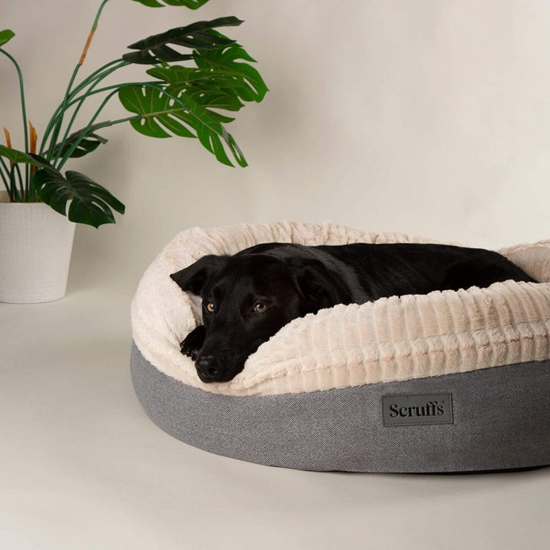 Buy Scruffs Ellen Donut Pet Bed - Percys Pet Products