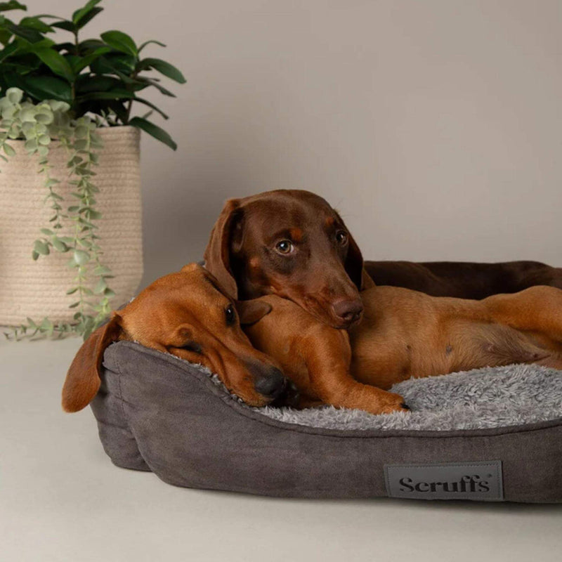 Buy Scruffs Cosy Soft-Walled Dog Bed | Percys Pet Products