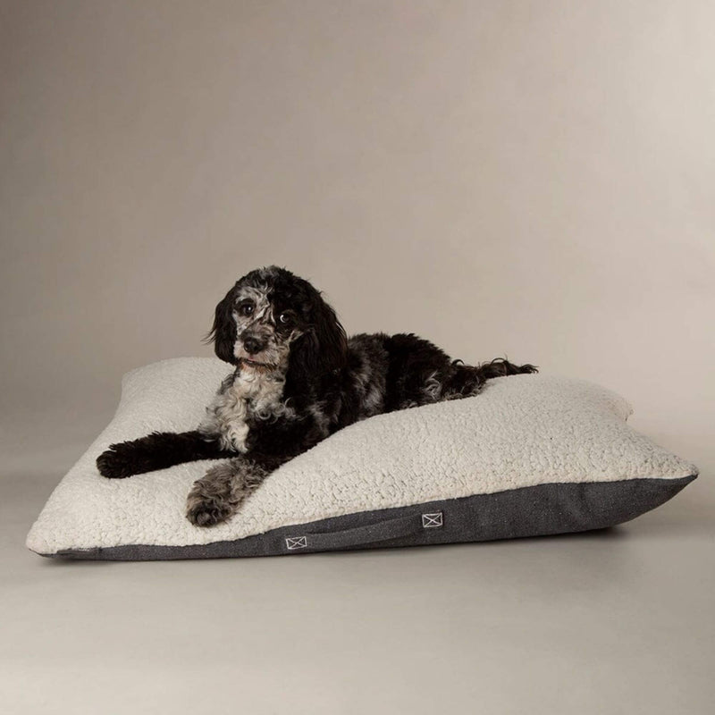 Buy Scruffs Eden Pillow Dog Bed - Percys Pet Products