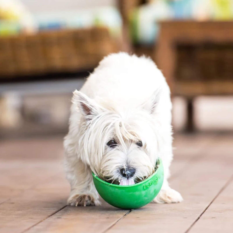 Buy LickiMat Wobble Bordem Buster Dog Bowl - Percys Pet Products