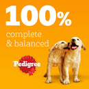 Pedigree Puppy Mixed Selection Dog Food in Jelly 100g x 48 Pouches | Percys Pet Products