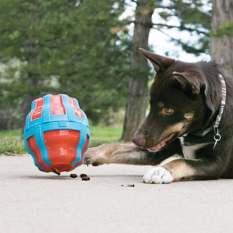 KONG Treat Spinner Treat Dispensing Dog Toy - Large