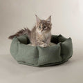 Buy Scruffs Eden Cat Bed - Percys Pet Products