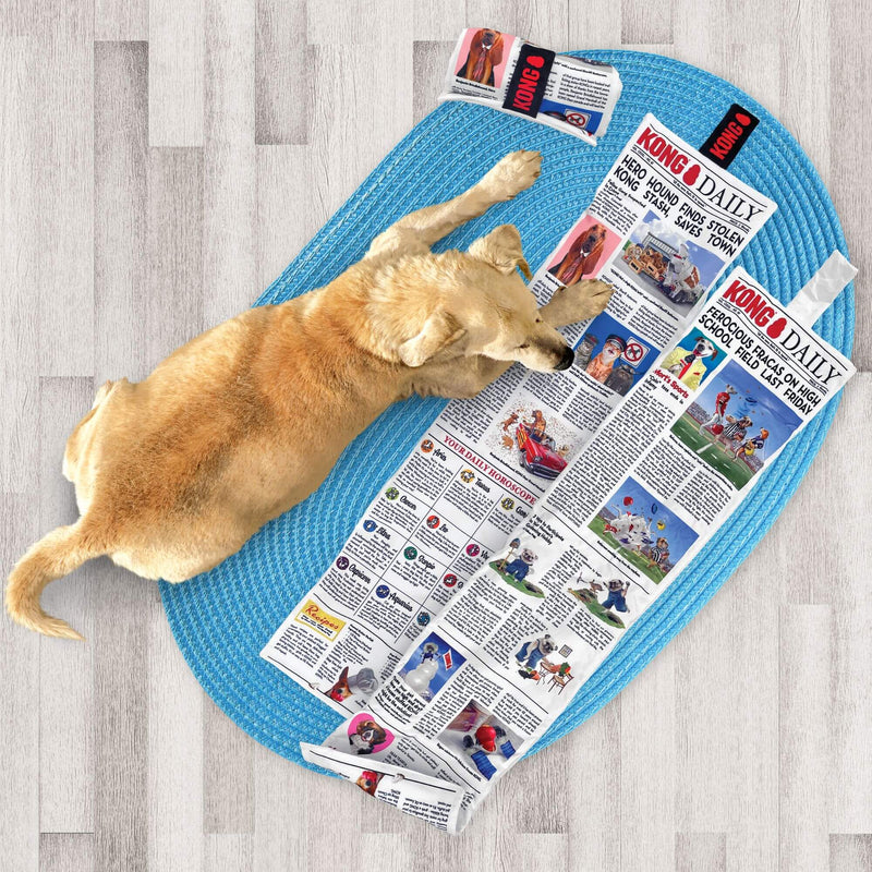 Buy KONG Daily Newspaper Dog Toy | Percys Pet Products