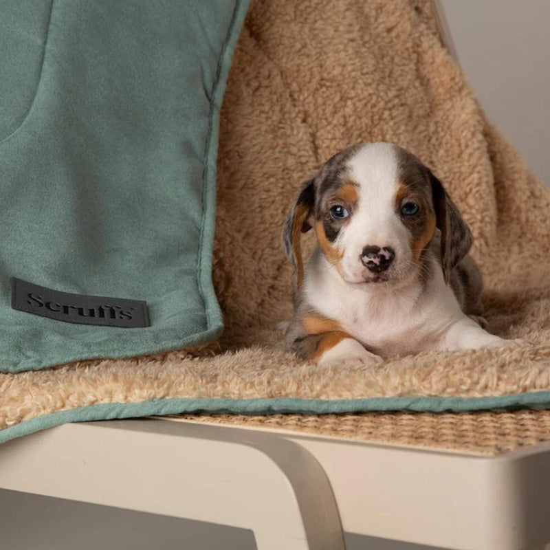 Buy Scruffs Snuggle Plush Pet Blanket - Percys Pet Products