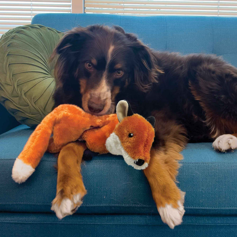 Buy KONG Wild Low Stuff Fox Dog Toy - Percys Pet Products