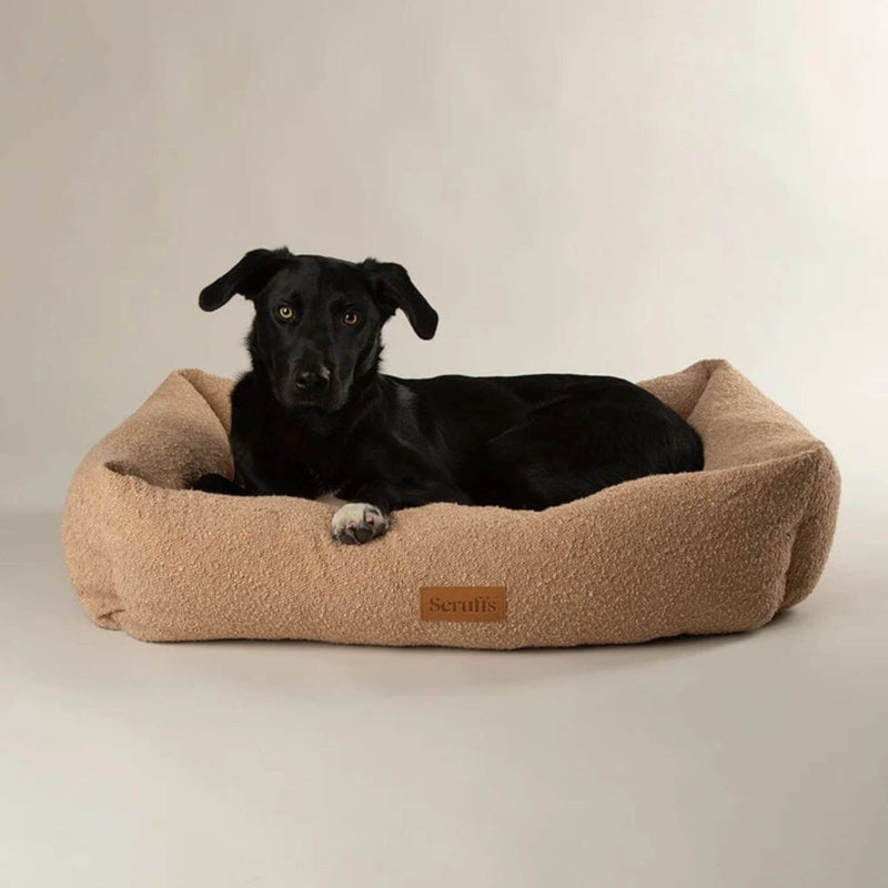 Buy Scruffs Boucle Box Dog Bed | Percys Pet Products