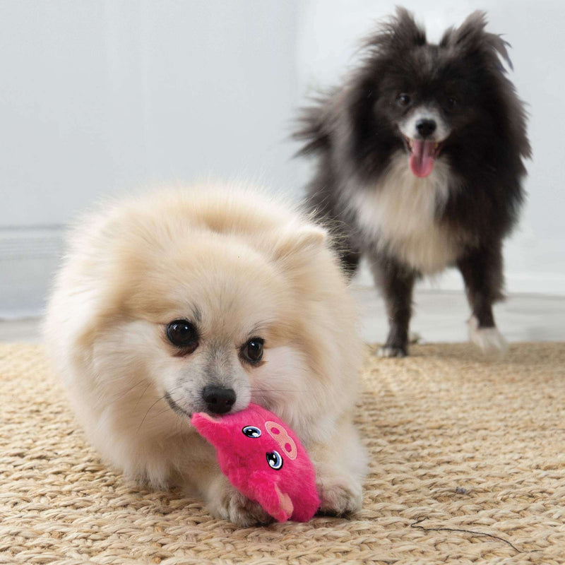 Buy KONG Snuzzles Mini Pig Dog Toy - Percys Pet Products