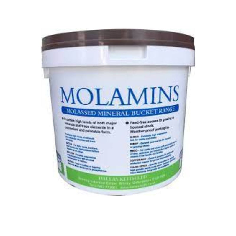 Buy DK Cattle Molamin Bucket Mineral Lick - Percys Pet Products