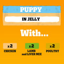 Pedigree Mixed Selection Puppy Food in Jelly 400g x 24 | Percys Pet Products
