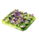 Buy Tall Tails Succulent Garden Dog Foraging Mat Slow Feeder