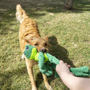 Buy KONG Knots Frog Dog Toy - Percys Pet Products