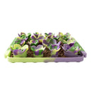 Buy Tall Tails Succulent Garden Dog Foraging Mat Slow Feeder