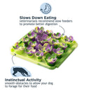 Buy Tall Tails Succulent Garden Dog Foraging Mat Slow Feeder