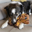 Buy KONG Low Stuff Stripes Cow Dog Toy - Percys Pet Products