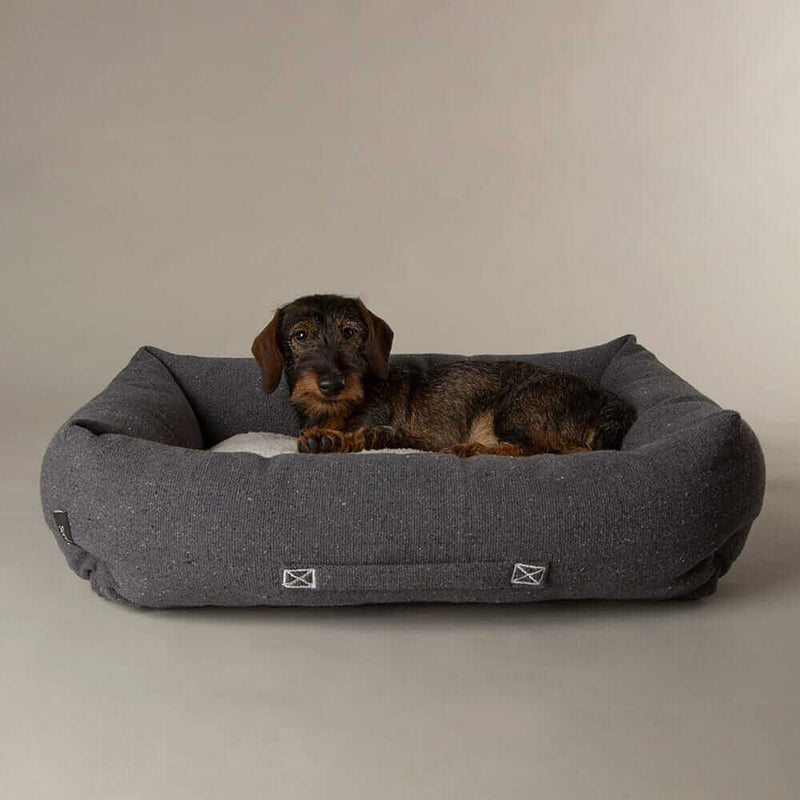 Buy Scruffs Eden Box Dog Bed - Percys Pet Products