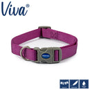 Ancol VIVA ADJUSTABLE DOG COLLAR - Percys Pet Products