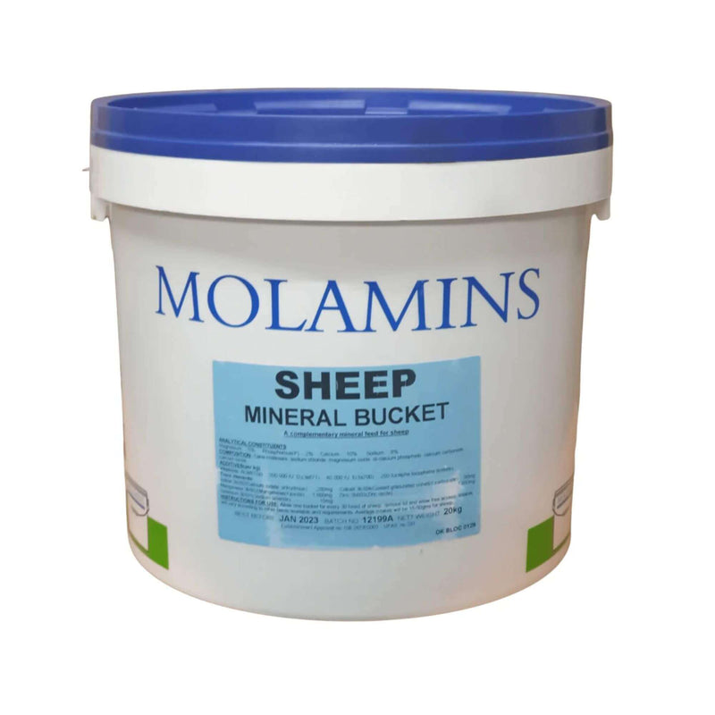 Buy Dallas Keith Sheep Molamin Bucket | Percy's Pet Products