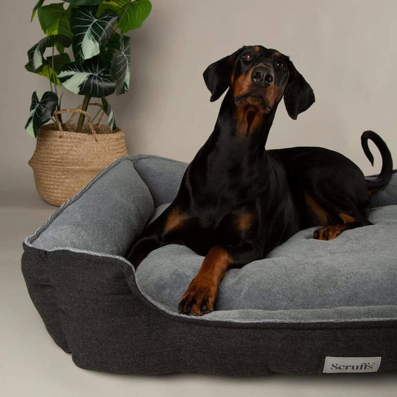 Buy Scruffs Harvard Memory Foam Dog Box Bed - Percys Pet Products