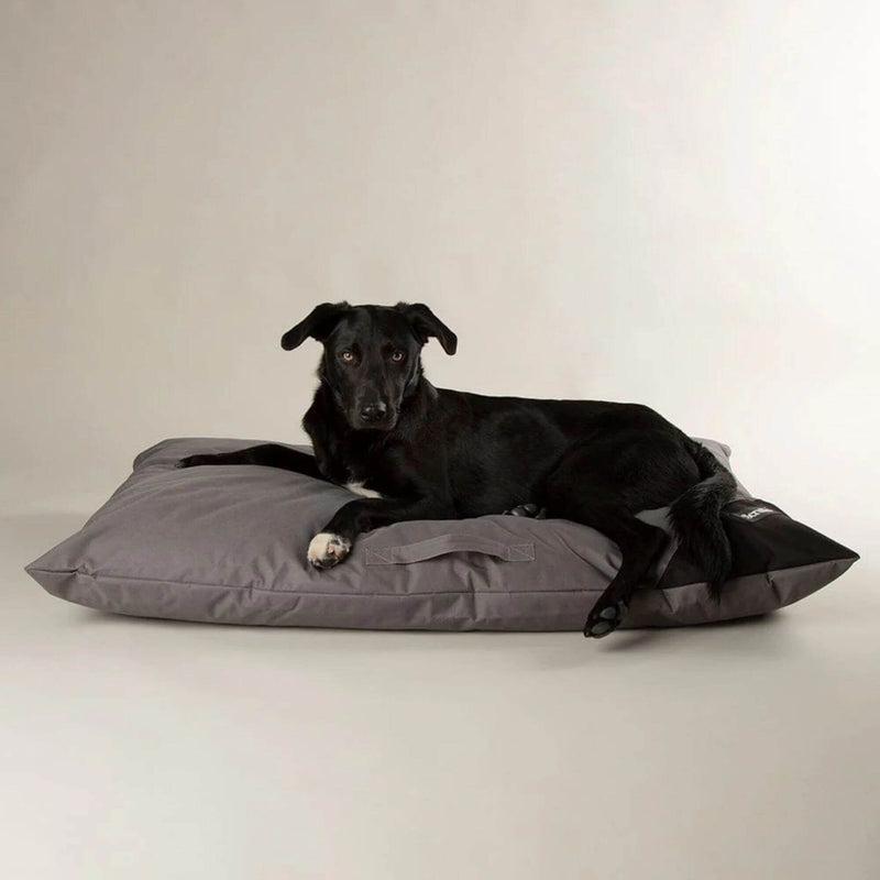 Buy Scruffs Expedition Memory Foam Dog Bed - Percys Pet Products