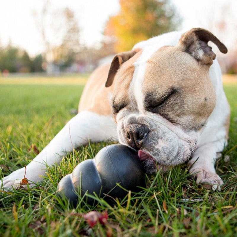 KONG Extreme Chew Treat Dog Toy - Percys Pet Products