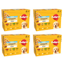 Pedigree Puppy Mixed Selection Dog Food in Jelly 100g x 48 Pouches | Percys Pet Products