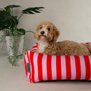  Scruffs Amalfi Striped Box Dog Bed in Pink | Percys Pet Products