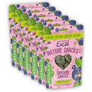 Buy Burgess Excel Nature Snacks Sunshine Treats 60g x 8